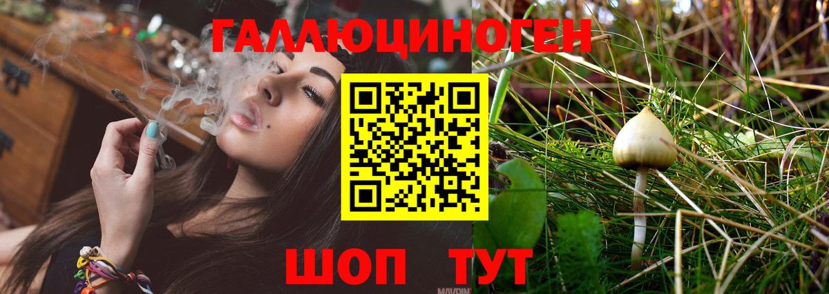 Галлюциногенные грибы GOLDEN TEACHER Кинель